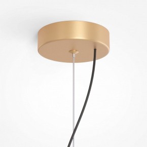 Подвесная люстра Maytoni Reels MOD268PL-03G в Верхней Пышме - verhnyaya-pyshma.mebel24.online | фото 5