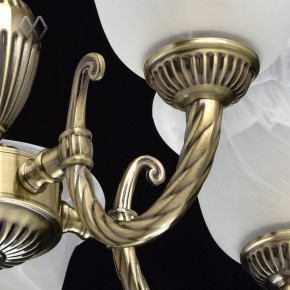 Подвесная люстра MW-Light Ариадна 20 450016305 в Верхней Пышме - verhnyaya-pyshma.mebel24.online | фото 6