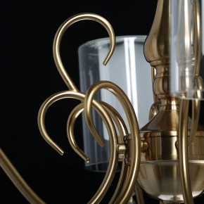 Подвесная люстра MW-Light Эллегия 8 303012708 в Верхней Пышме - verhnyaya-pyshma.mebel24.online | фото 7