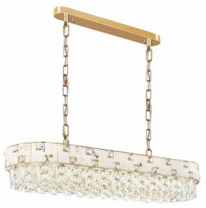Подвесная люстра Odeon Light Chessi 5076/10 в Верхней Пышме - verhnyaya-pyshma.mebel24.online | фото 2