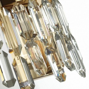 Подвесная люстра Odeon Light Dakisa 4986/12 в Верхней Пышме - verhnyaya-pyshma.mebel24.online | фото 8