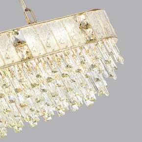 Подвесная люстра Odeon Light Fiesta 5070/14 в Верхней Пышме - verhnyaya-pyshma.mebel24.online | фото 6