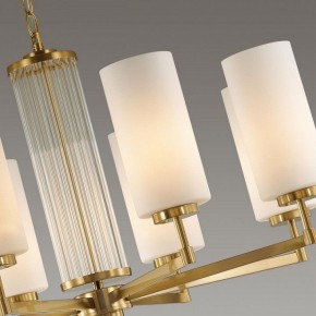 Подвесная люстра Odeon Light Kasali 4990/8 в Верхней Пышме - verhnyaya-pyshma.mebel24.online | фото 7