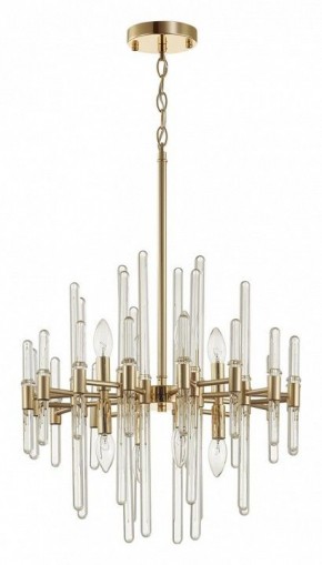 Подвесная люстра Odeon Light Stika 4988/8 в Верхней Пышме - verhnyaya-pyshma.mebel24.online | фото 3