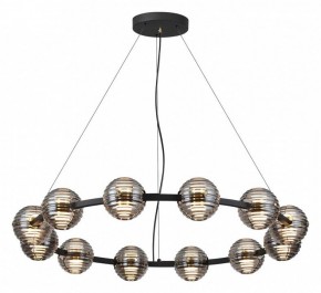 Подвесная люстра Odeon Light Troni 5041/120L в Верхней Пышме - verhnyaya-pyshma.mebel24.online | фото 2