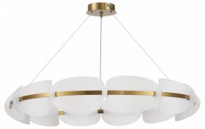 Подвесная люстра ST-Luce Etoile SL1304.203.65 в Верхней Пышме - verhnyaya-pyshma.mebel24.online | фото 3