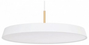 Подвесной светильник Arlight ELEGANT 033924(1) в Верхней Пышме - verhnyaya-pyshma.mebel24.online | фото