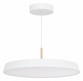 Подвесной светильник Arlight ELEGANT 033924(1) в Верхней Пышме - verhnyaya-pyshma.mebel24.online | фото 2