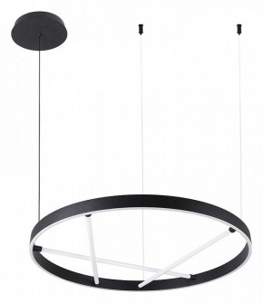 Подвесной светильник Arte Lamp Ricco A1874SP-32BK в Верхней Пышме - verhnyaya-pyshma.mebel24.online | фото 2