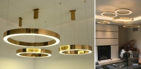 Подвесной светильник Imperiumloft Light Ring Horizontal 40.1454-40 в Верхней Пышме - verhnyaya-pyshma.mebel24.online | фото 2