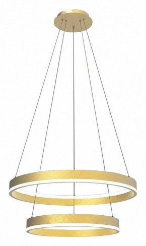 Подвесной светильник Lightstar Rotonda 736422 в Верхней Пышме - verhnyaya-pyshma.mebel24.online | фото 2
