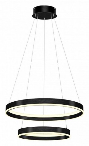 Подвесной светильник Lightstar Rotonda 736427 в Верхней Пышме - verhnyaya-pyshma.mebel24.online | фото 2