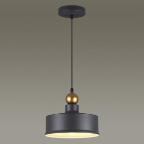 Подвесной светильник Odeon Light Bolli 4088/1 в Верхней Пышме - verhnyaya-pyshma.mebel24.online | фото 4