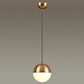Подвесной светильник Odeon Light Pinga 4960/1 в Верхней Пышме - verhnyaya-pyshma.mebel24.online | фото 2