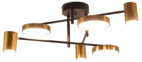 Потолочная люстра Kink Light Рапис 07645-6D,19(20) в Верхней Пышме - verhnyaya-pyshma.mebel24.online | фото