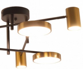 Потолочная люстра Kink Light Рапис 07645-6D,19(20) в Верхней Пышме - verhnyaya-pyshma.mebel24.online | фото 2