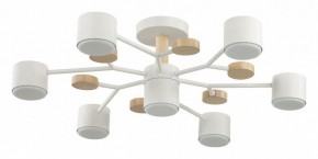 Потолочная люстра Lumion Rondo 8195/7C в Верхней Пышме - verhnyaya-pyshma.mebel24.online | фото