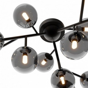 Потолочная люстра Maytoni Dallas MOD545CL-12B в Верхней Пышме - verhnyaya-pyshma.mebel24.online | фото 3