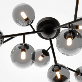 Потолочная люстра Maytoni Dallas MOD545CL-12B в Верхней Пышме - verhnyaya-pyshma.mebel24.online | фото 4