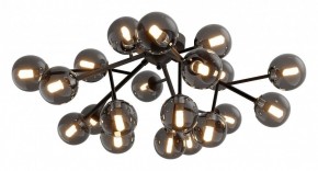 Потолочная люстра Maytoni Dallas MOD545CL-20B в Верхней Пышме - verhnyaya-pyshma.mebel24.online | фото 2