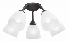 Потолочная люстра Vitaluce V3184 V3737-2/5PL в Верхней Пышме - verhnyaya-pyshma.mebel24.online | фото