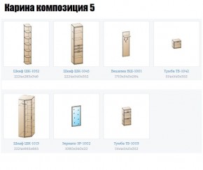 Прихожая Карина (модульная) в Верхней Пышме - verhnyaya-pyshma.mebel24.online | фото 2