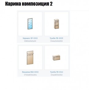 Прихожая Карина (модульная) в Верхней Пышме - verhnyaya-pyshma.mebel24.online | фото 6