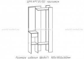 КРИТ-1 Прихожая (Делано светлый) в Верхней Пышме - verhnyaya-pyshma.mebel24.online | фото 2