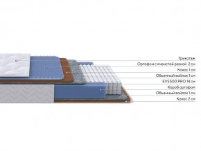 PROxSON Матрас Active Duo M/F (Ткань Трикотаж Эко) 90x190 в Верхней Пышме - verhnyaya-pyshma.mebel24.online | фото 2