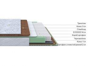 PROxSON Матрас Green Duo M/F (Tricotage Dream) 80x200 в Верхней Пышме - verhnyaya-pyshma.mebel24.online | фото 1