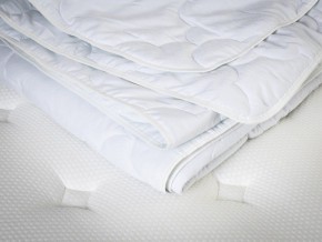 PROxSON Одеяло лёгкое PROSON (Стеганное полотно) 140x200 в Верхней Пышме - verhnyaya-pyshma.mebel24.online | фото 5