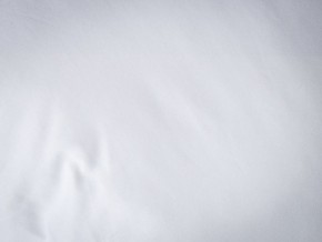 PROxSON Подушка Terra Duo (Сатин Ткань) 50x70 в Верхней Пышме - verhnyaya-pyshma.mebel24.online | фото 9