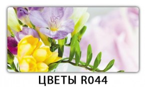 Раздвижной СТ Бриз орхидея R041 K-1 в Верхней Пышме - verhnyaya-pyshma.mebel24.online | фото 16