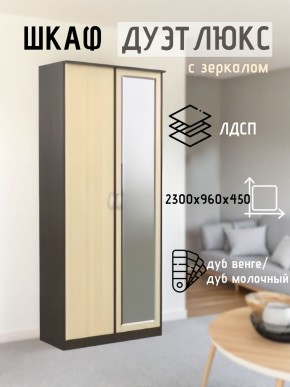 Шкаф 2-х створчатый Дуэт Люкс с зеркалом в Верхней Пышме - verhnyaya-pyshma.mebel24.online | фото 1
