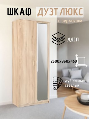 Шкаф 2-х створчатый Дуэт Люкс с зеркалом в Верхней Пышме - verhnyaya-pyshma.mebel24.online | фото 7