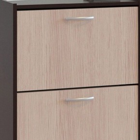 Шкаф для обуви ТО-24 в Верхней Пышме - verhnyaya-pyshma.mebel24.online | фото 4