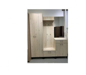 Шкаф для одежды 2-х дверный София 1 в Верхней Пышме - verhnyaya-pyshma.mebel24.online | фото 6