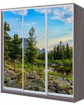 Шкаф-купе ХИТ 22-20/2-777 ПРИРОДА в Верхней Пышме - verhnyaya-pyshma.mebel24.online | фото