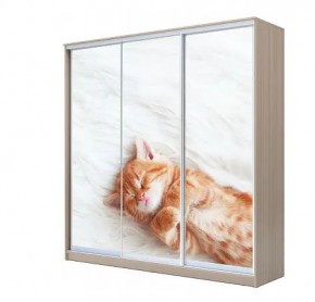 Шкаф-купе ХИТ 22-4-20-777 КОТЕНОК СПЯЩИЙ в Верхней Пышме - verhnyaya-pyshma.mebel24.online | фото