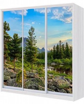Шкаф-купе ХИТ 22-4-20-777 ПРИРОДА в Верхней Пышме - verhnyaya-pyshma.mebel24.online | фото