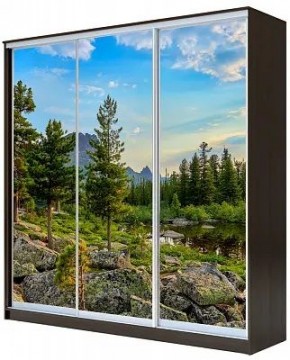 Шкаф-купе ХИТ 23-4-20-777 ПРИРОДА в Верхней Пышме - verhnyaya-pyshma.mebel24.online | фото