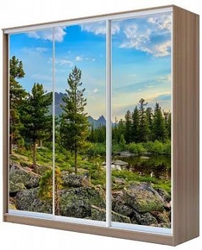 Шкаф-купе ХИТ 24-18-777 ПРИРОДА в Верхней Пышме - verhnyaya-pyshma.mebel24.online | фото