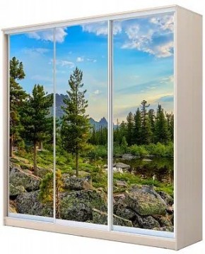 Шкаф-купе ХИТ 24-4-20-777 ПРИРОДА в Верхней Пышме - verhnyaya-pyshma.mebel24.online | фото