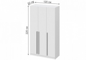 Шкаф платяной Бирма ШК-1200 в Верхней Пышме - verhnyaya-pyshma.mebel24.online | фото 4