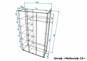 Шкаф платяной Мебелеф-22 в Верхней Пышме - verhnyaya-pyshma.mebel24.online | фото 7