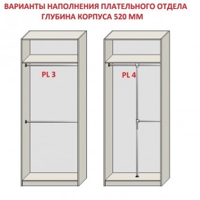 Шкаф распашной серия «ЗЕВС» (PL3/С1/PL2) в Верхней Пышме - verhnyaya-pyshma.mebel24.online | фото 10