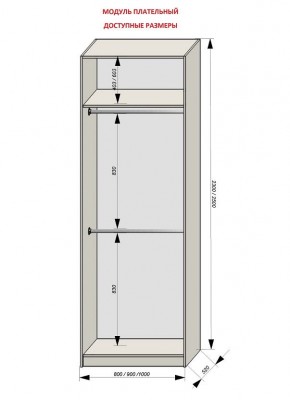 Шкаф распашной серия «ЗЕВС» (PL3/С1/PL2) в Верхней Пышме - verhnyaya-pyshma.mebel24.online | фото 12