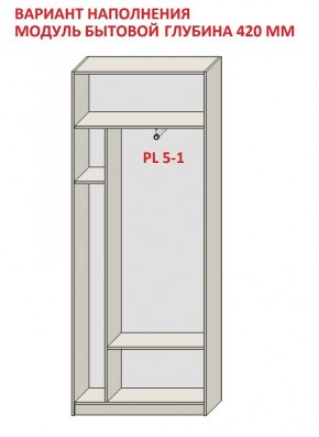 Шкаф распашной серия «ЗЕВС» (PL3/С1/PL2) в Верхней Пышме - verhnyaya-pyshma.mebel24.online | фото 4