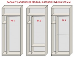 Шкаф распашной серия «ЗЕВС» (PL3/С1/PL2) в Верхней Пышме - verhnyaya-pyshma.mebel24.online | фото 5