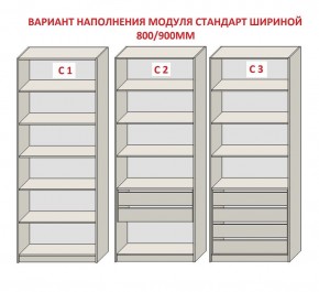 Шкаф распашной серия «ЗЕВС» (PL3/С1/PL2) в Верхней Пышме - verhnyaya-pyshma.mebel24.online | фото 6